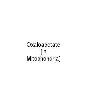 Oxaloacetate [in Mitochondria]